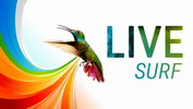 Раскрутка мобильного приложения Livesurf